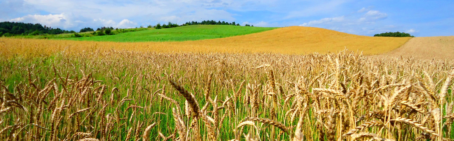 HP Agro
